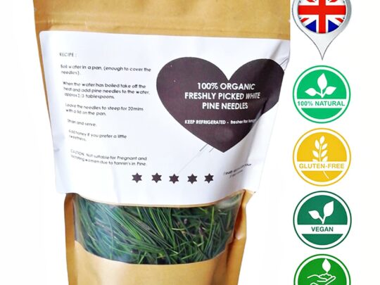 White Pine Needle Tea – Pure and Refreshing Organic Blend